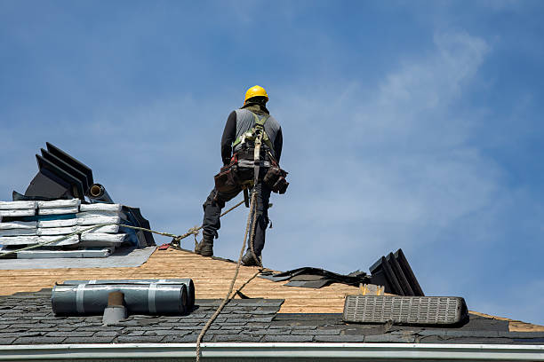 Professional Storm Damage Roof Repair technician working in New Boston, IL